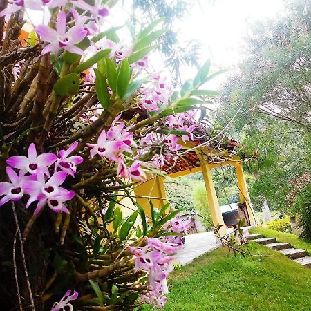 Casa Com Flores Pedra Azul  Exterior foto
